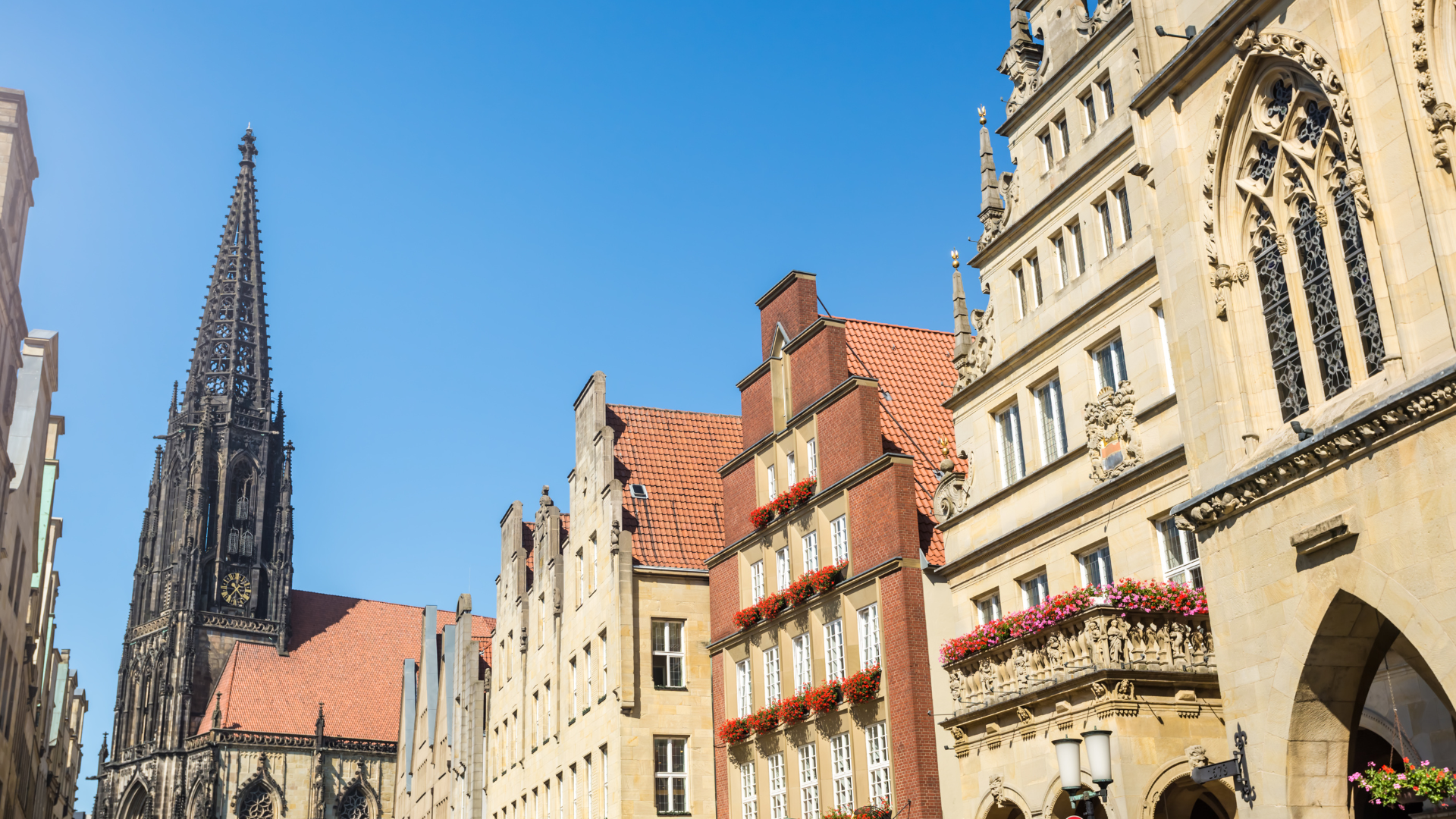 Münster Dom Immobilienmakler