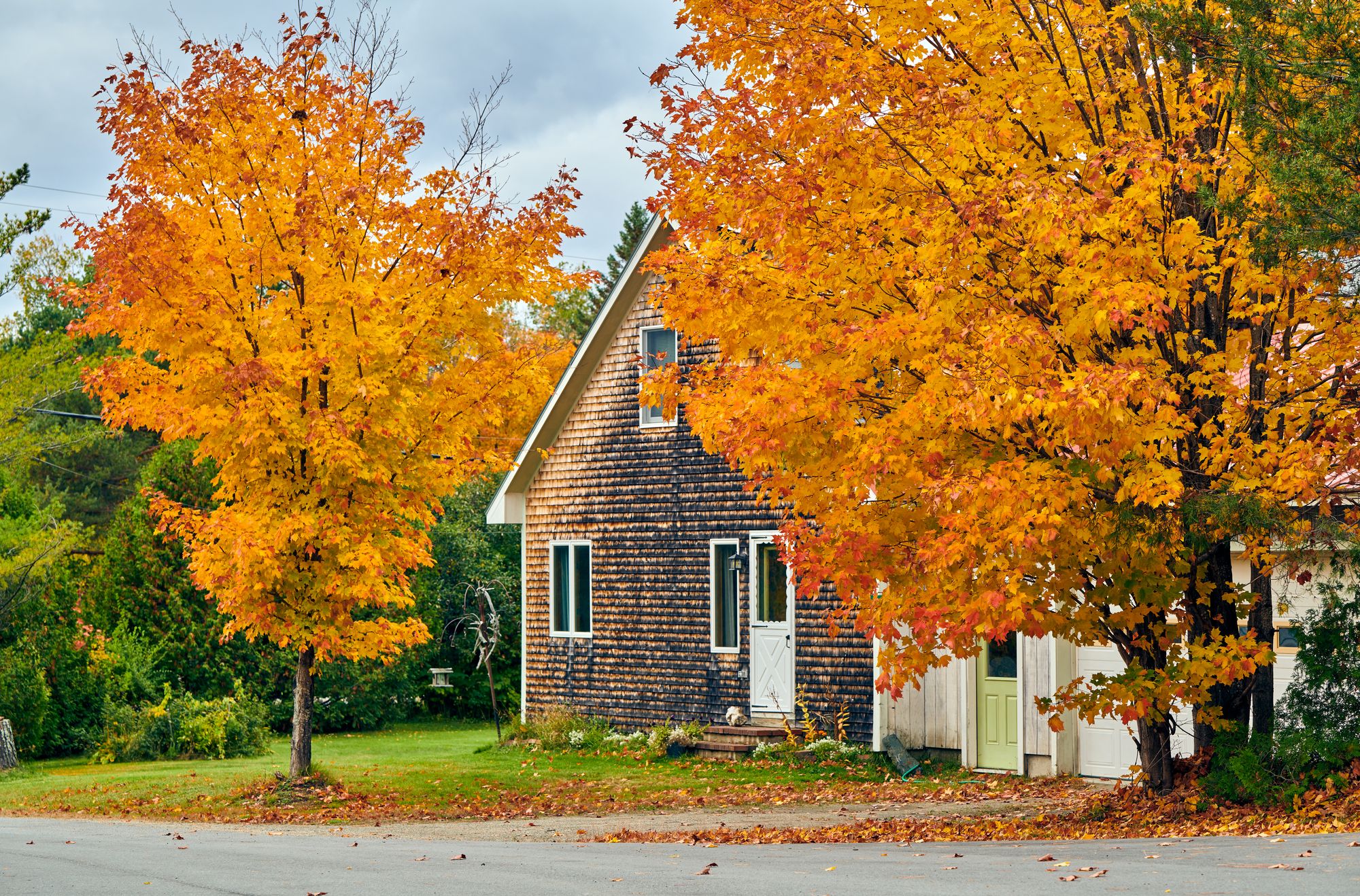 Gartenarbeit im Herbst: Rechte und Pflichten an der Grundstücksgrenze