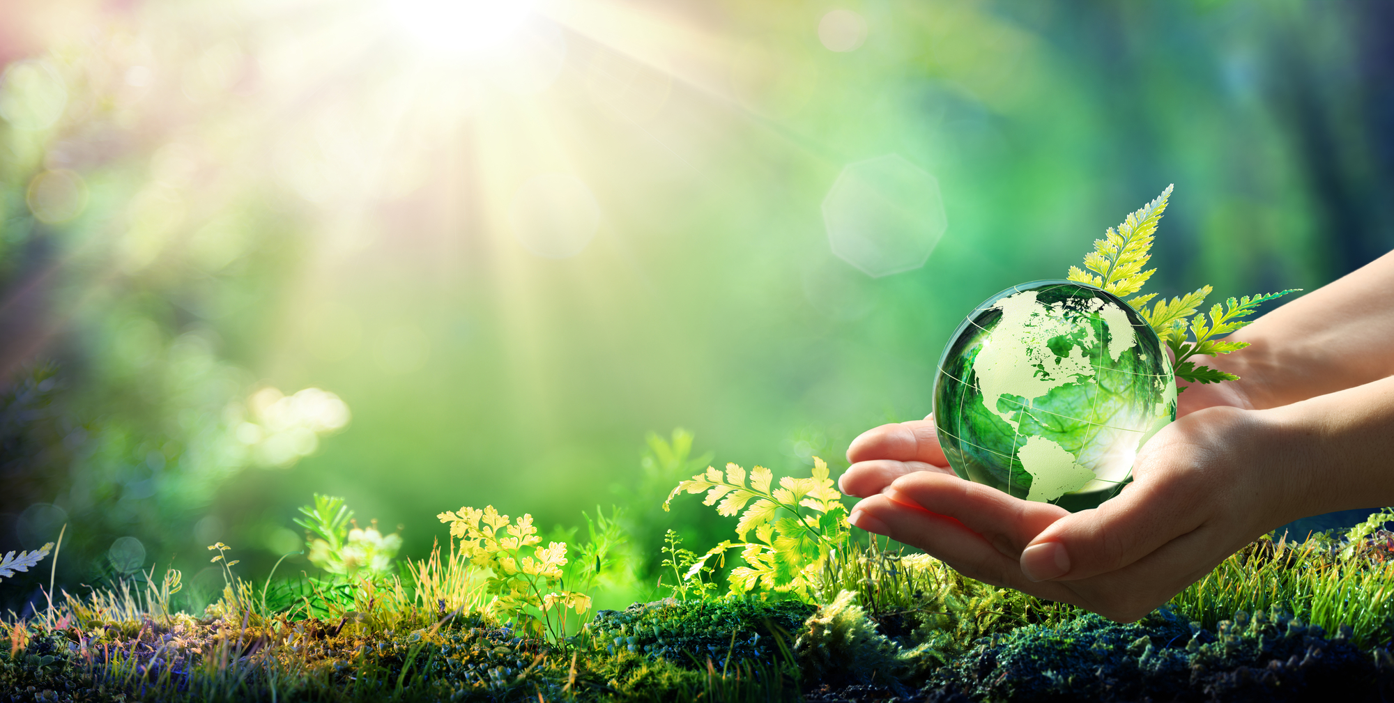 Neue Regeln gegen Greenwashing: Immobilienbranche muss Werbung anpassen