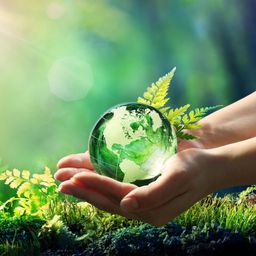 Aktuelle Analyse: Wärmewende ist ökonomische Realität – Markt treibt Heizungstausch