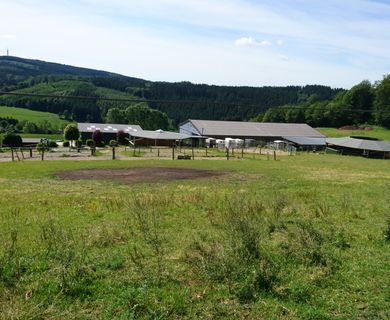 Bauernhof in Traumhafter Lage auf 23 ha zu verkaufen