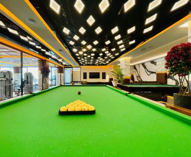 Billiard -1-