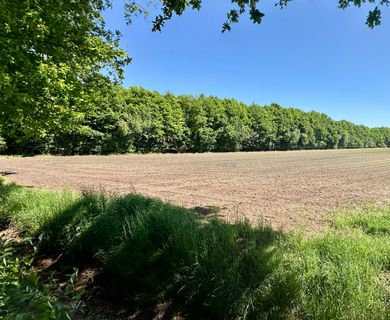 3 ha Acker und Wald zu verkaufen