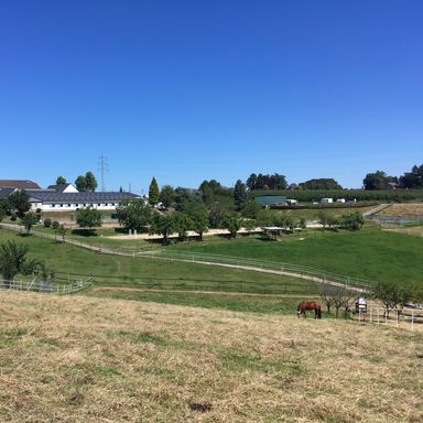 Reitanlage auf 11,5 ha zu verkaufen
