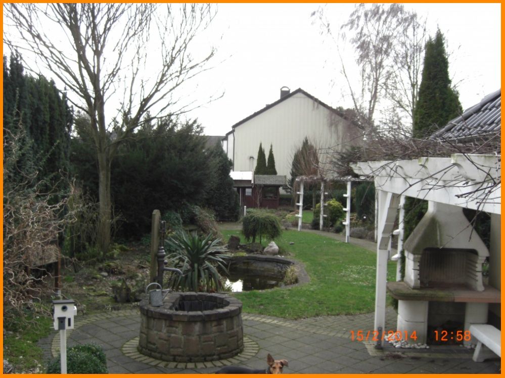 Blick in den Garten