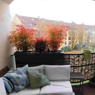 Wohnung zur Kapitalanlage und späteren Eigennutzung