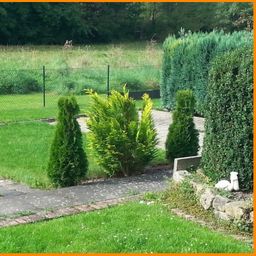 Bitte nur Email: 3 ZKB mit kleinem Garten !