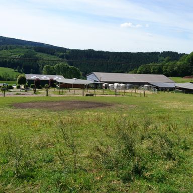 Bauernhof in Traumhafter Lage auf 23 ha zu verkaufen