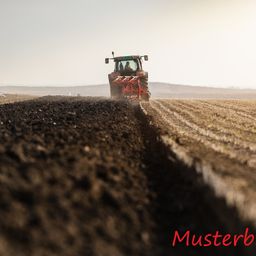 5,0 ha Ackerland bei Kuchelmiß
zu verkaufen