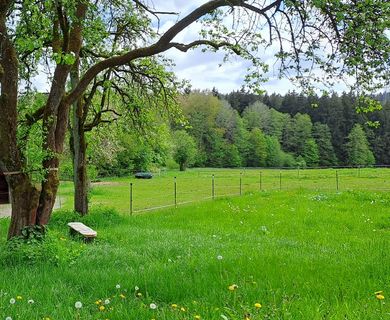 Weitblick