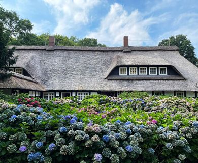 14 ha Fachwerkjuwel im Grünen
