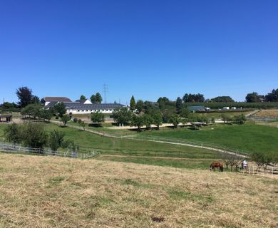 Reitanlage auf 11,5 ha zu verkaufen