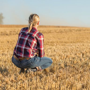 11 ha Ackerland zu verkaufen