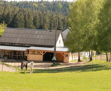 Südblick Paddock, Offenstall, Scheune