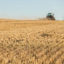 11 ha Ackerland zu verkaufen