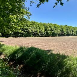 3 ha Acker und Wald zu verkaufen