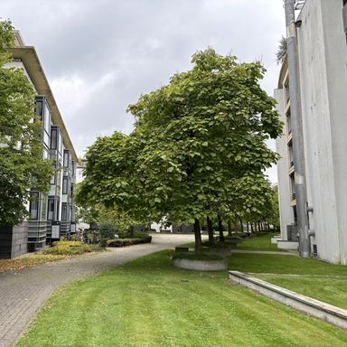 Gievenbeck,Nachmieter ab 1.10.2025 gesucht
Anfragen nur per Mail !!