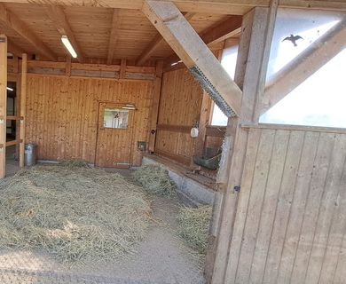 Offenstall mit Tränkebecken