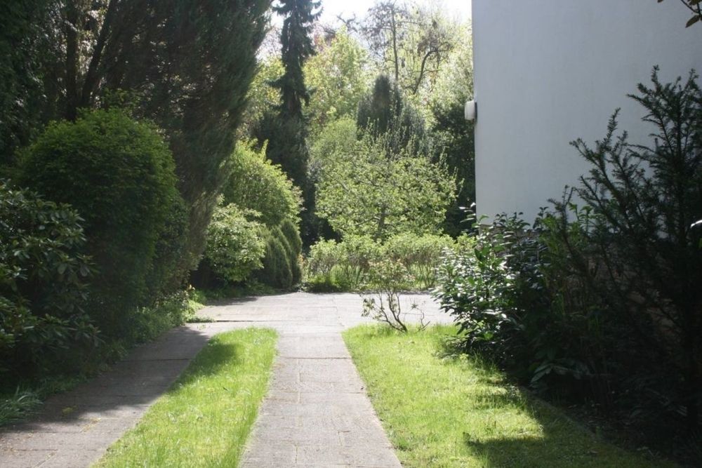 Foto2.png