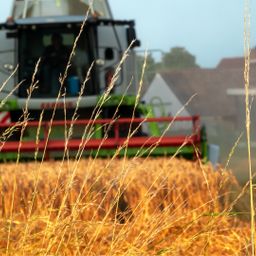 ca. 3,26 ha Ackerland zu verkaufen